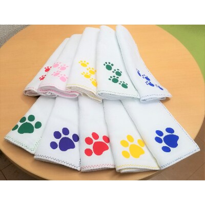 ともニャンタオルセットA (平地つきプリントタオル10枚組)