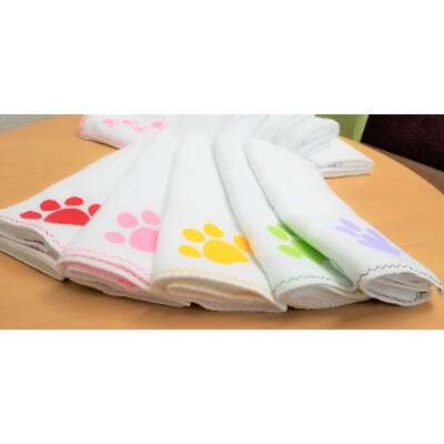 ともニャンタオルセットB (平地つきプリントタオル10枚組)