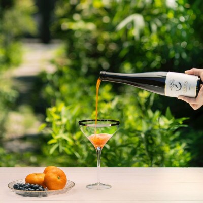 JAPOLA(ジャポラ)500ml 2本