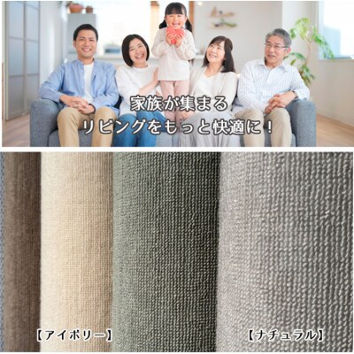 【江戸間8畳】家族が集まるリビングをもっと快適に!リビングカーペット (ウイング8畳NA)