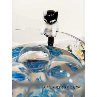 アクアリウム:エンゼルフィッシュセット　AN113