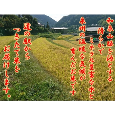 大阪府和泉市の農家さんが心を込めて作った「にこまる」　一袋5kg。道の駅で大好評。