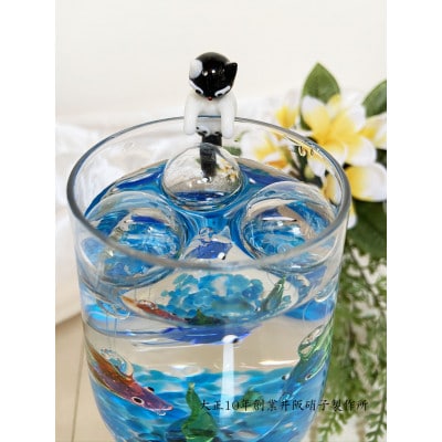 アクアリウム:ベタセット