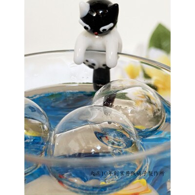 アクアリウム:クマノミセット