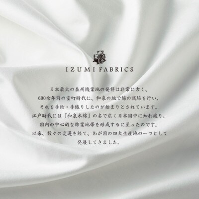 (50×90cm)ポーランド産ホワイトマザーグース　ダウンピロー(羽毛まくら)95%