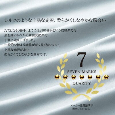 (43×63cm)ポーランド産マザーグースダウンピロー(羽毛枕)95%＆ピローケース:フォグブルー