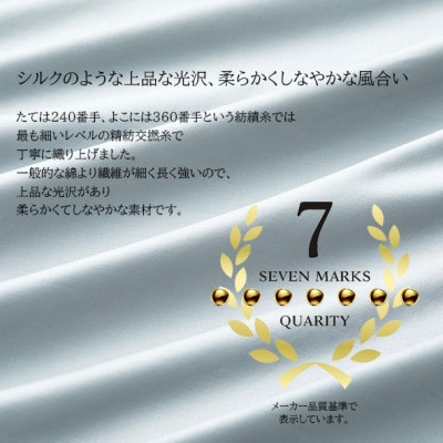 (50×90cm)ポーランド産マザーグースダウンピロー(羽毛枕)95%＆ピローケース:フォグブルー