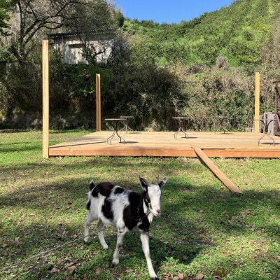 FILNEのお店で使える3,000円分のストアチケット