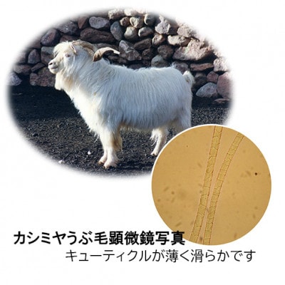 ピュアカシミヤ毛布(ホワイト)