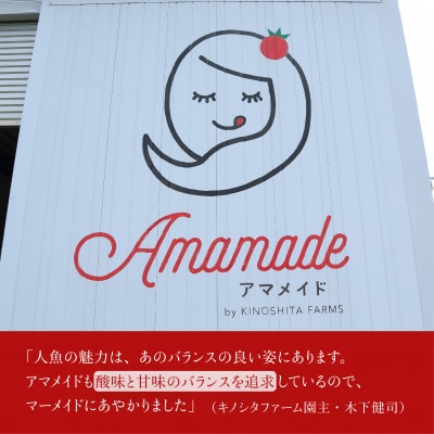 【1kg】ミニトマト 糖度8以上 アマメイド 　リピーター続出の人気野菜