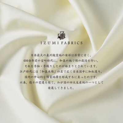 (43×63cm)ハンガリー産ホワイトグース ダウンピロー(羽毛まくら)　ダウン93%