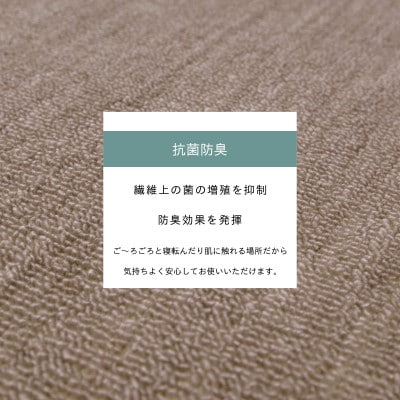 カーペット 江戸間 3畳 防音 抗菌防臭 厚手 ツワブキ 176×261cm グレージュ 日本製