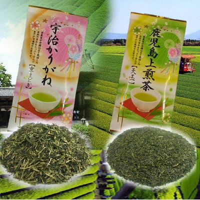 アソート緑茶セット4本入