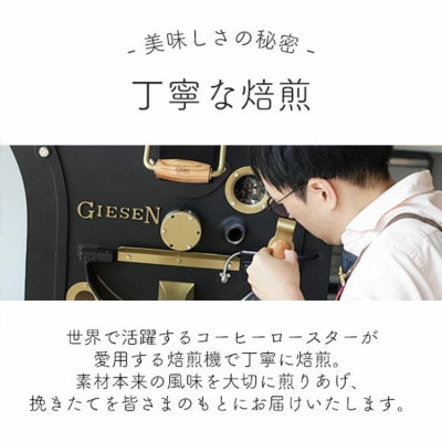 グランクリュ　コーヒー豆　COE　おまかせ3種600g(200g×3袋)豆のまま　辻本珈琲