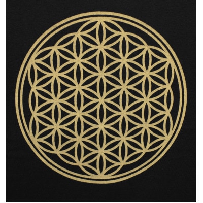 Tシャツ フラワー・オブ・ライフ 姫川薬石 ネイビー (半袖 160サイズ)