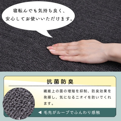 カーペット 江戸間 3畳 防音 抗菌防臭 厚手 ツワブキ 176×261cm ブラック 日本製