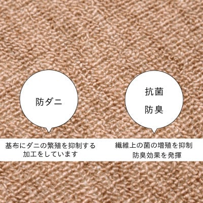 防ダニ カーペット 4.5畳 日本製 抗菌防臭 ノースポール 江戸間 261×261cm ベージュ