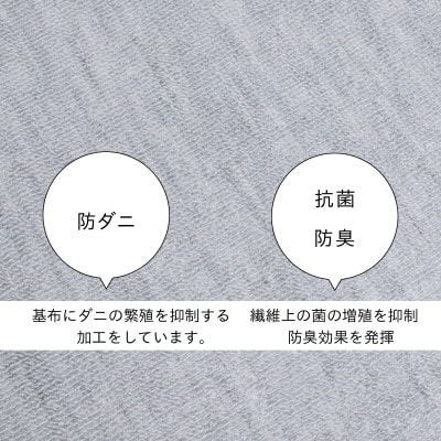 防ダニ カーペット 3畳 日本製 抗菌防臭 ノースポール 江戸間 176×261cm グレー