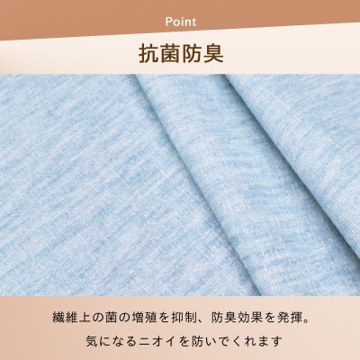 防ダニ カーペット 4.5畳 日本製 抗菌防臭 ノースポール 江戸間 261×261cm ブルー