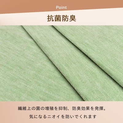 防ダニ カーペット 3畳 日本製 抗菌防臭 ノースポール 江戸間 176×261cm グリーン