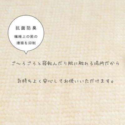 カーペット 日本製 抗菌防臭 犬 猫 ペット ビオラ 176×261cm 江戸間 3畳 アイボリー