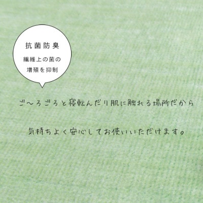 カーペット 日本製 抗菌防臭 犬 猫 ペット ビオラ 261×352cm 江戸間 6畳 グリーン
