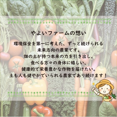 【こだわり春の野菜詰め合わせセット】Sサイズ　栽培期間中農薬・化学肥料・除草剤不使用の旬野菜【配送不可地域：離島】