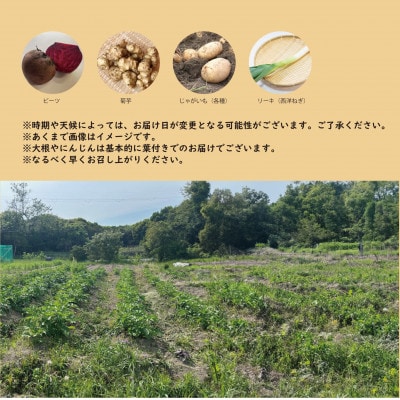 【こだわり秋の野菜詰め合わせセット】Sサイズ　栽培期間中農薬・化学肥料・除草剤不使用の旬野菜【配送不可地域：離島】