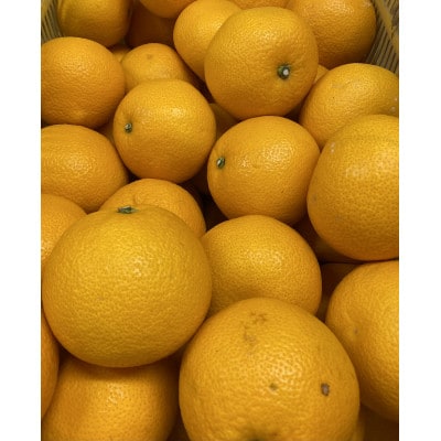 和泉のめぐみ・山愛みかん(M～2Lの混合・約5kg)