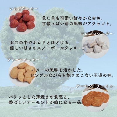 お菓子詰め合わせEセット　クッキー6種類・パウンドケーキ8個セット　はつが野テラス