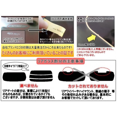 リア (s) アリア FE0 (5%) カット済み カーフィルム ARIYA FE0型 日産用