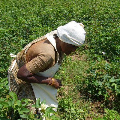 オーガニックタオルケット(薄手)