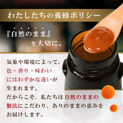 インカナム マヌカハニー 500g  MGO 550+