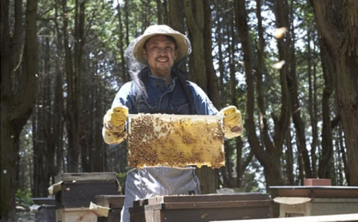 【2種】いずみつ(百花蜜)＆アカシア 200g＆ 食べ比べプラセット　倒立型 蜜切れ抜群ボトル