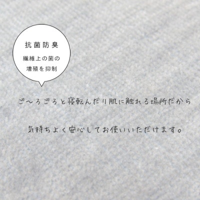 カーペット 日本製 抗菌防臭 犬 猫 ペット対応 ビオラ 261×352cm 江戸間 6畳用 グレー