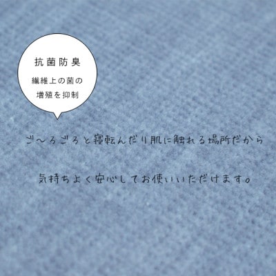 カーペット 日本製 抗菌防臭 ペット対応 ビオラ 261×261cm 江戸間 4.5畳 ブルー