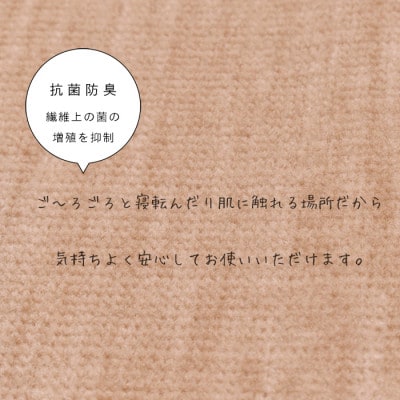 カーペット 日本製 抗菌防臭 ペット対応 ビオラ 261×261cm 江戸間 4.5畳 ベージュ