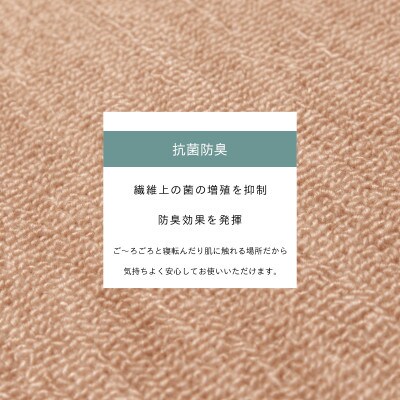 カーペット 江戸間 6畳 防音 抗菌防臭 厚手 ツワブキ 261×352cm ベージュ 日本製