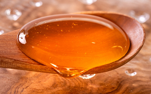 道の駅で大人気のハチミツ(250gノズル付きボトル　1本)