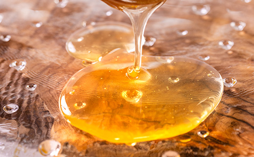 道の駅で大人気のハチミツ(使い勝手の良いプラ容器300g×3本)