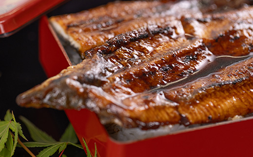 絶品!!国産うなぎ蒲焼き　特大サイズ(約200g)【配送不可地域：離島】