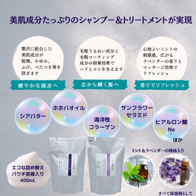 【毎月定期便】クレビス　リ・ミー　サラン　ヘアシャンプー＆トリートメントセット定期便全12回