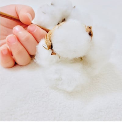 オーガニックコットンタオルシーツ　Sサイズ(145×230cm)かすみ　ブラウン　SNS-12-BR