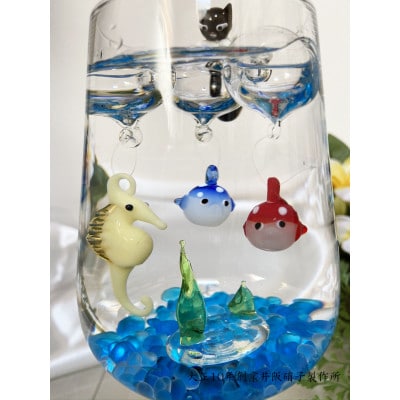 アクアリウム:フグセット