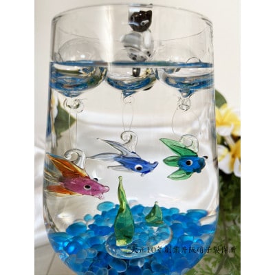 アクアリウム:ベタセット