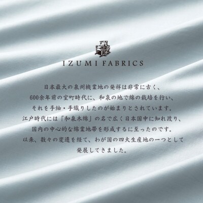 (43×63cm)ポーランド産マザーグースダウンピロー(羽毛枕)95%＆ピローケース:フォグブルー