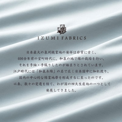 (50×90cm)ポーランド産マザーグースダウンピロー(羽毛枕)95%＆ピローケース:フォグブルー