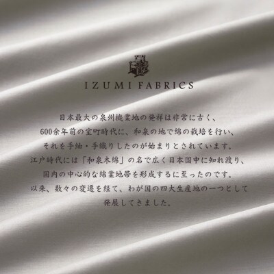 (50×150cm)ポーランド産マザーグースダウンピロー (羽毛枕)＆ピローケース:オパールグレー