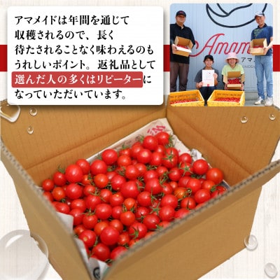 【1kg】ミニトマト 糖度8以上 アマメイド 　リピーター続出の人気野菜