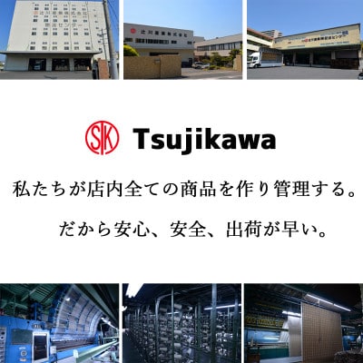 カーペット 日本製 抗菌防臭 軽量薄手 ジェミニ 176×261cm 江戸間 3畳用 グレー